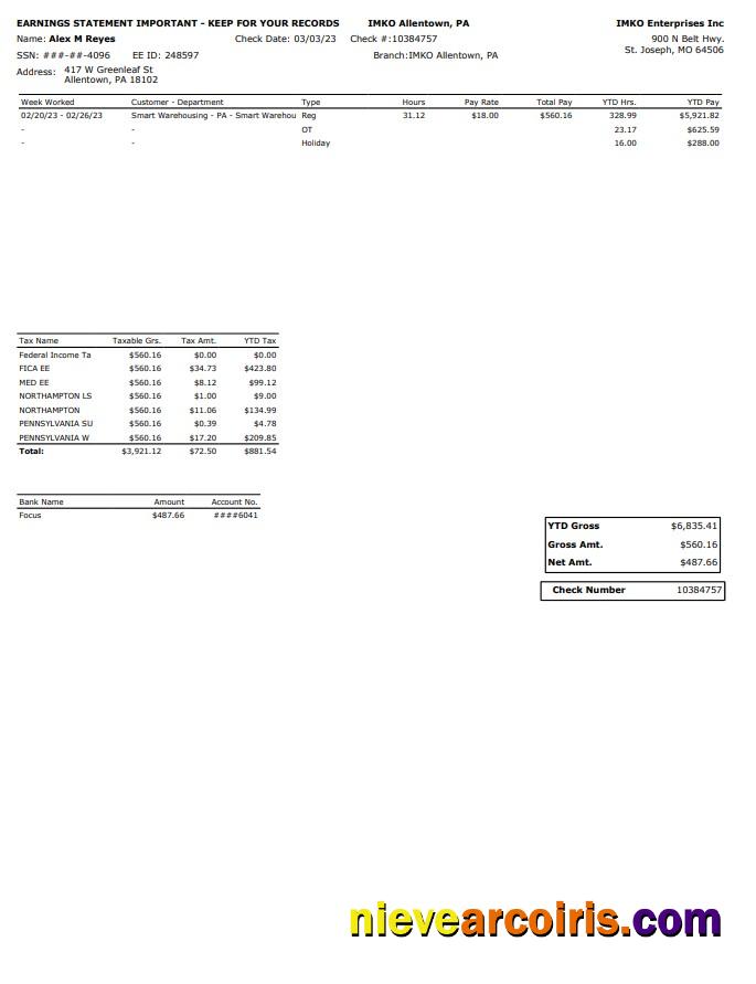 IMKO Enterprises Inc PayStub